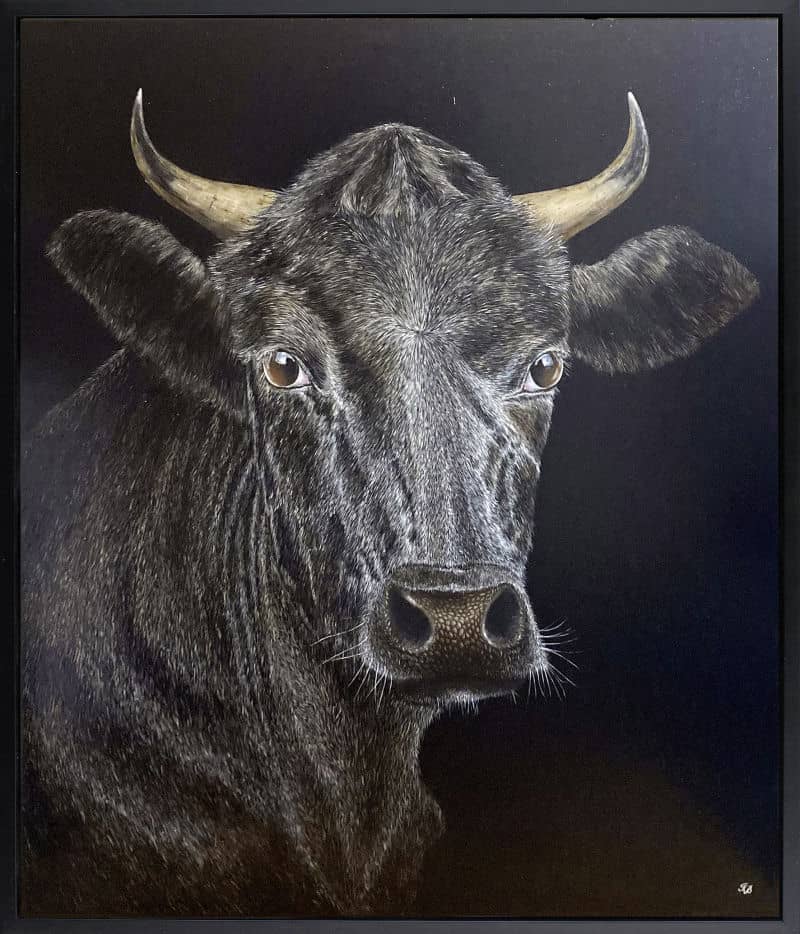 Black Bull - Ignace Bauwens @ stArt to Art