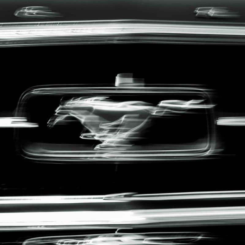 Mustang- Michel Peeraer @ stArt to Art