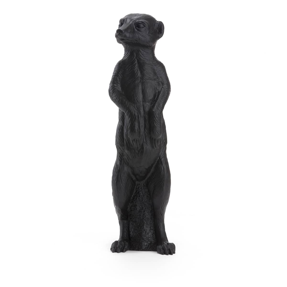Suricate - Ottmar Horl @ stArt to Art